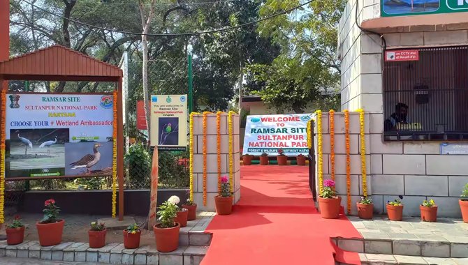 Sultanpur-Bird-Sanctuary